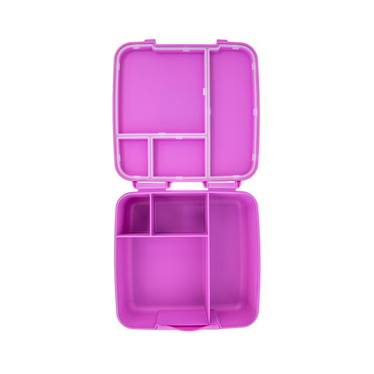 Montii.Co Feast Bento Lunch Box - Fuchsia