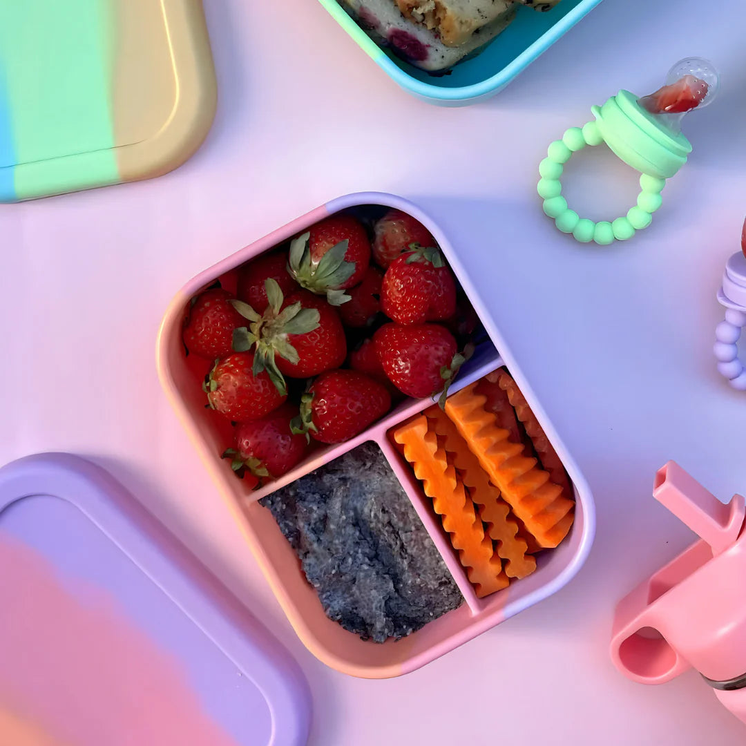 The Zero Waste People Silicone Mini Lunchbox - Paddlepop