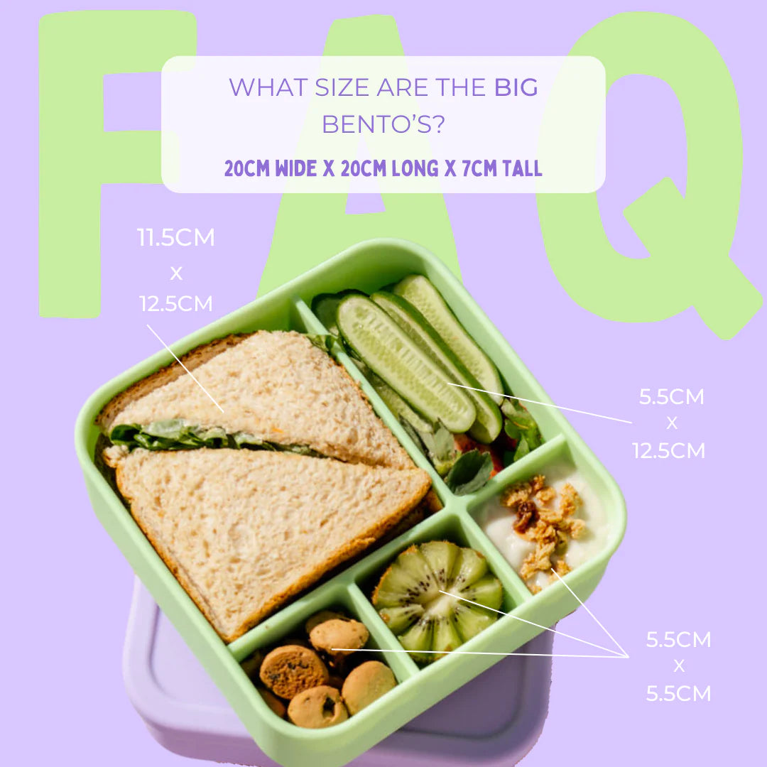 The Zero Waste People BIG Silicone Lunch Box - Rainbow