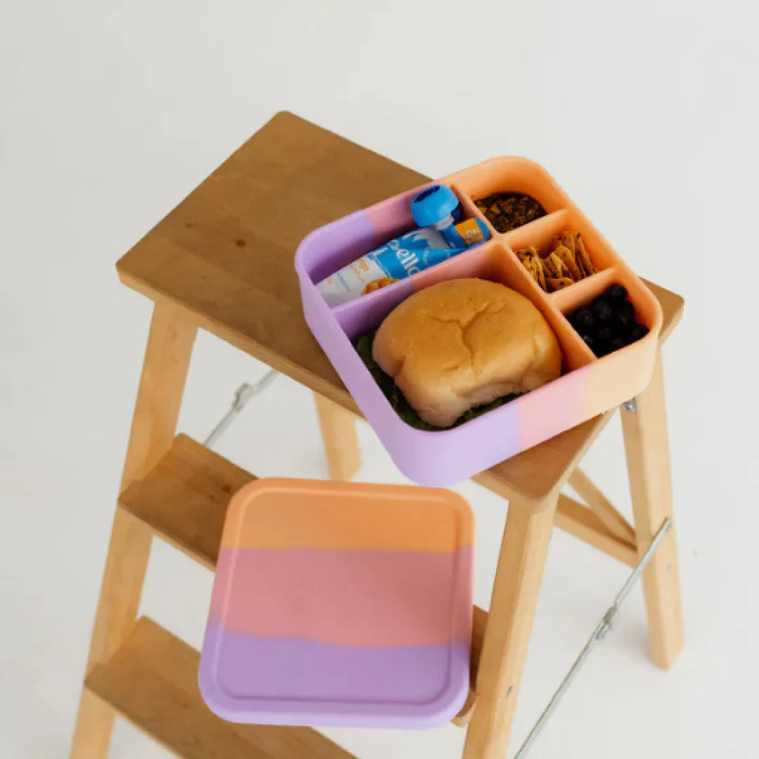 The Zero Waste People BIG Silicone Lunch Box - Paddlepop