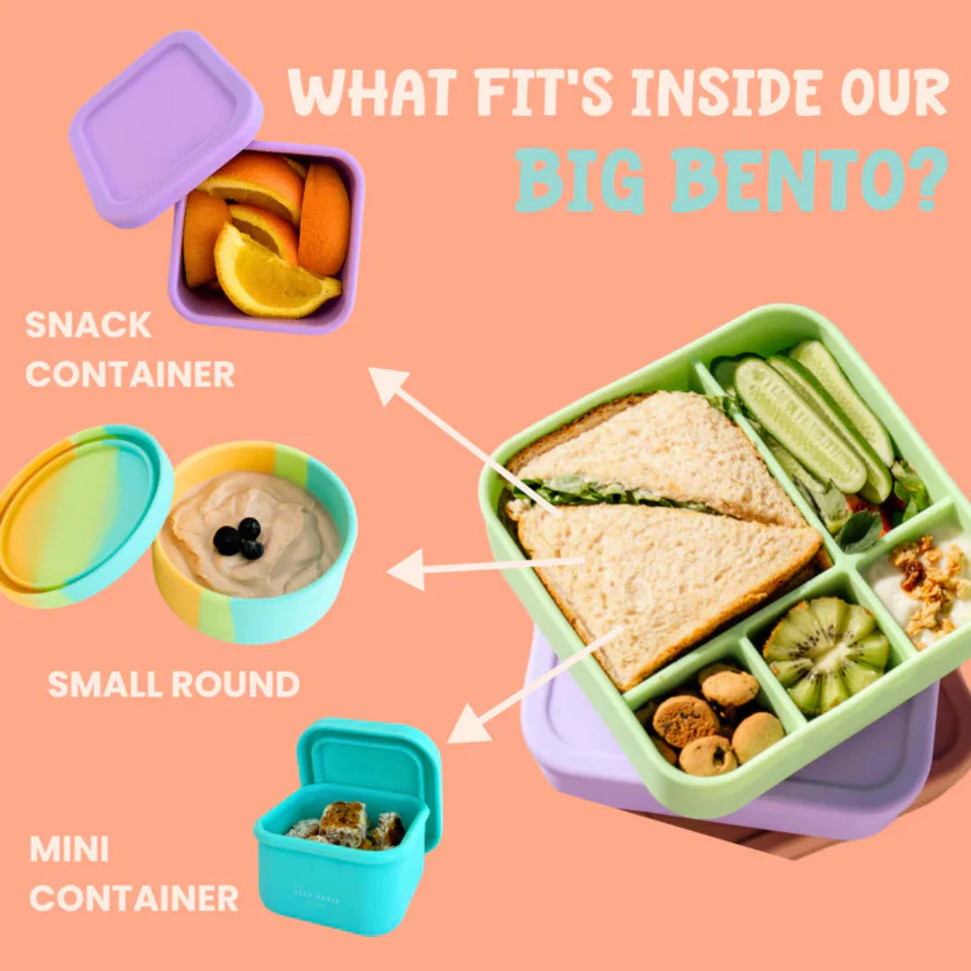 The Zero Waste People BIG Silicone Lunch Box - Rainbow